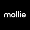 Mollie Payment Solution